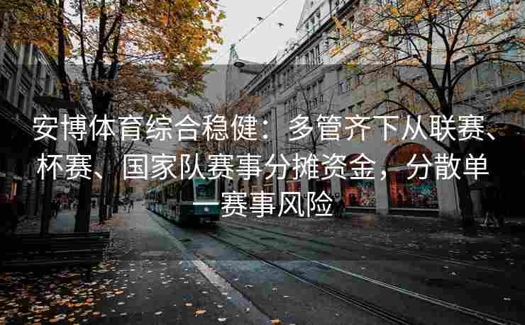 安博体育综合稳健：多管齐下从联赛、杯赛、国家队赛事分摊资金，分散单一赛事风险