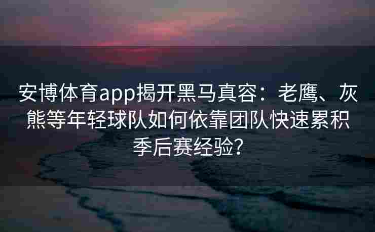 安博体育app揭开黑马真容：老鹰、灰熊等年轻球队如何依靠团队快速累积季后赛经验？